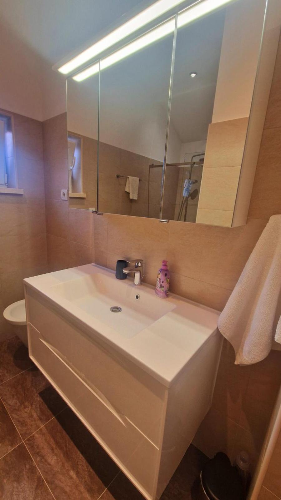 Apartment Mara Orašac Extérieur photo